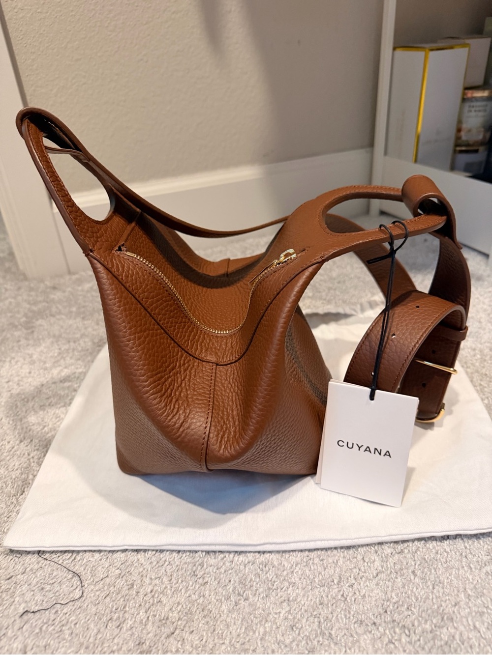 Cuyana Paloma Bag